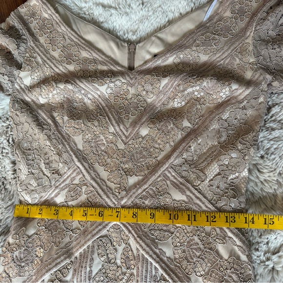 NWT Elegant Tadashi Shoji Tatiana Sequin Lace Gown in Beige/Champage Size 4 - Picture 10 of 10